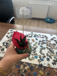 Fakültemiz Dekanı Prof. Dr. Ayfer Şahin’den Kadınlar Günü Mesajı